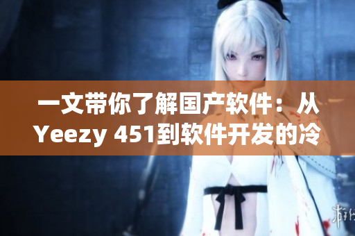 一文带你了解国产软件：从Yeezy 451到软件开发的冷思考