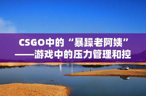 CSGO中的“暴躁老阿姨”——游戏中的压力管理和控制方法探究