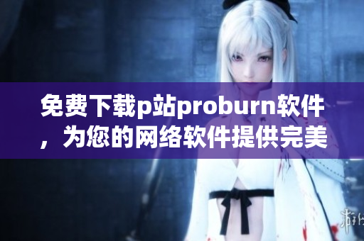 免费下载p站proburn软件，为您的网络软件提供完美解决方案