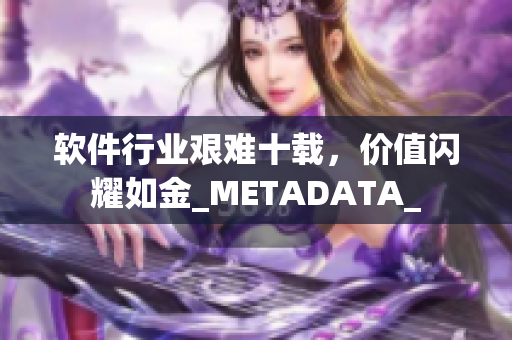 软件行业艰难十载，价值闪耀如金_METADATA_