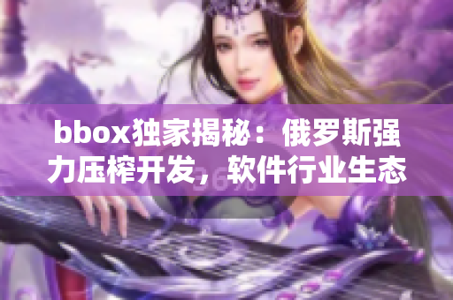 bbox独家揭秘：俄罗斯强力压榨开发，软件行业生态难题探讨