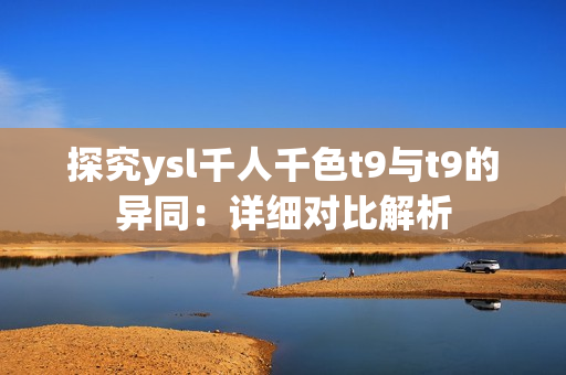 探究ysl千人千色t9与t9的异同：详细对比解析