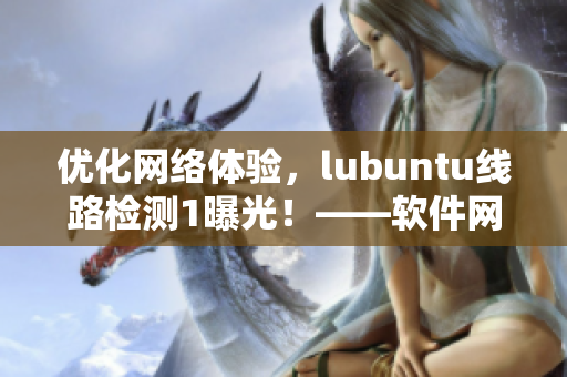 优化网络体验，lubuntu线路检测1曝光！——软件网络优化的必备贴士