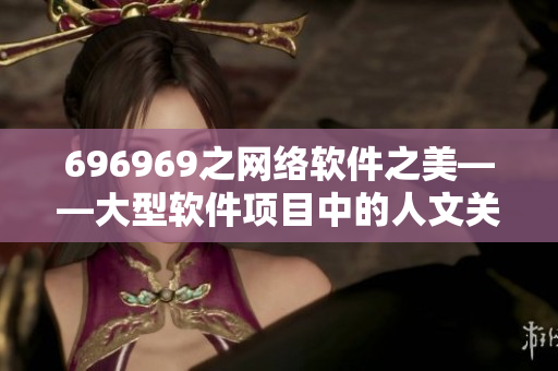 696969之网络软件之美——大型软件项目中的人文关怀