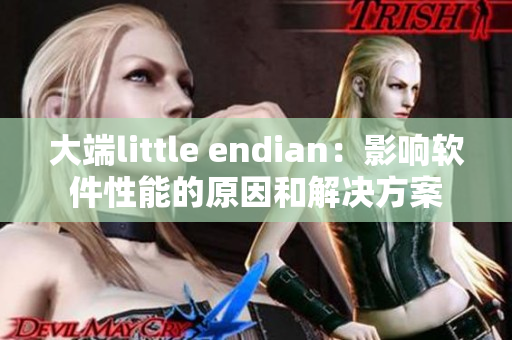 大端little endian：影响软件性能的原因和解决方案