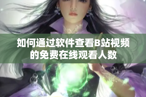 如何通过软件查看B站视频的免费在线观看人数