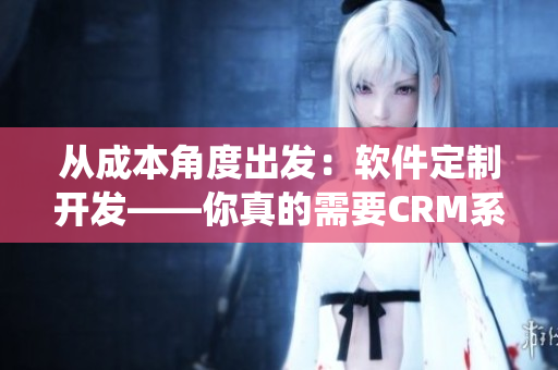 从成本角度出发：软件定制开发——你真的需要CRM系统吗？