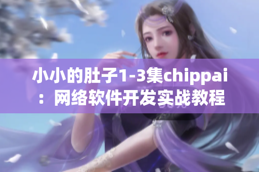 小小的肚子1-3集chippai：网络软件开发实战教程