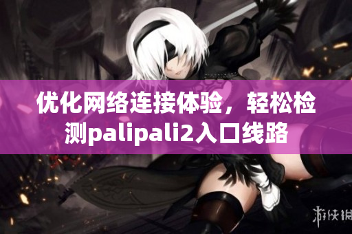 优化网络连接体验，轻松检测palipali2入口线路