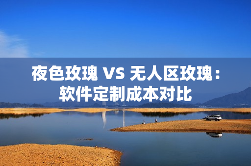 夜色玫瑰 VS 无人区玫瑰：软件定制成本对比