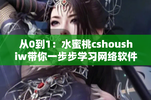 从0到1：水蜜桃cshoushiw带你一步步学习网络软件开发