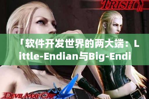 「软件开发世界的两大端：Little-Endian与Big-Endian」