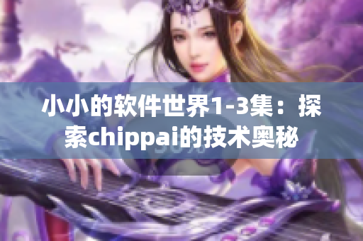 小小的软件世界1-3集：探索chippai的技术奥秘