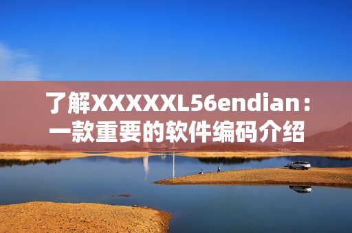 了解XXXXXL56endian：一款重要的软件编码介绍