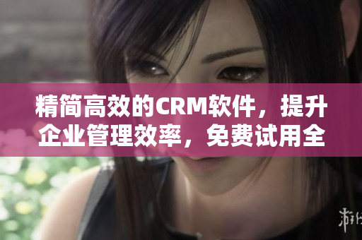 精简高效的CRM软件，提升企业管理效率，免费试用全方位解决方案