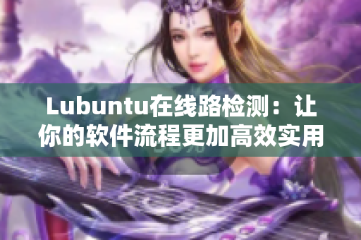 Lubuntu在线路检测：让你的软件流程更加高效实用的必备工具