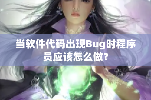 当软件代码出现Bug时程序员应该怎么做？