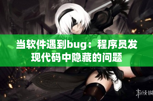 当软件遇到bug：程序员发现代码中隐藏的问题