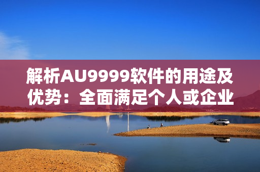 解析AU9999软件的用途及优势：全面满足个人或企业的需求