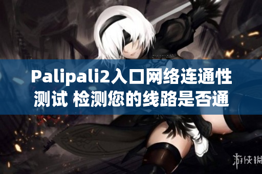 Palipali2入口网络连通性测试 检测您的线路是否通畅