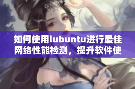 如何使用lubuntu进行最佳网络性能检测，提升软件使用效率？