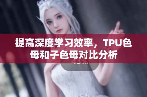 提高深度学习效率，TPU色母和子色母对比分析