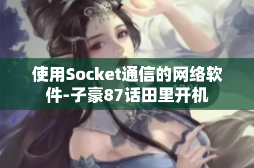 使用Socket通信的网络软件-子豪87话田里开机