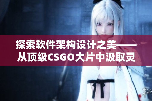 探索软件架构设计之美——从顶级CSGO大片中汲取灵感