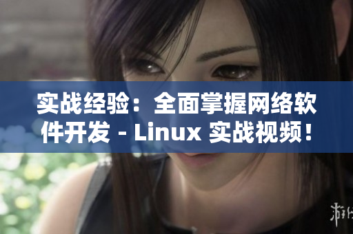 实战经验：全面掌握网络软件开发 - Linux 实战视频！