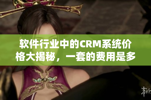 软件行业中的CRM系统价格大揭秘，一套的费用是多少？