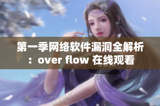 第一季网络软件漏洞全解析：over flow 在线观看