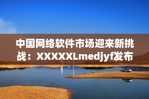 中国网络软件市场迎来新挑战：XXXXXLmedjyf发布