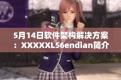 5月14日软件架构解决方案：XXXXXL56endian简介