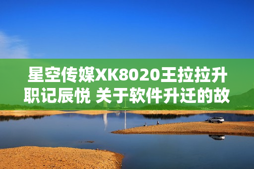 星空传媒XK8020王拉拉升职记辰悦 关于软件升迁的故事