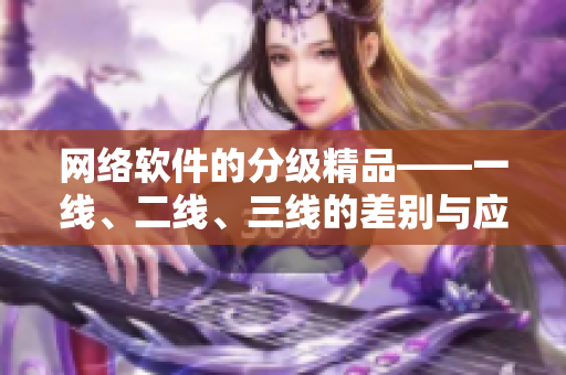 网络软件的分级精品——一线、二线、三线的差别与应用探析