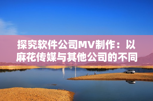 探究软件公司MV制作：以麻花传媒与其他公司的不同为例