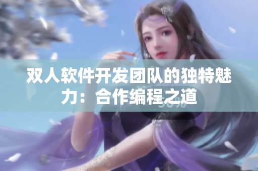 双人软件开发团队的独特魅力：合作编程之道