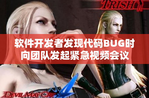 软件开发者发现代码BUG时向团队发起紧急视频会议