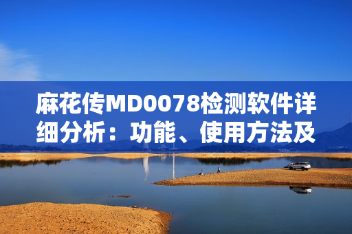 麻花传MD0078检测软件详细分析：功能、使用方法及优缺点