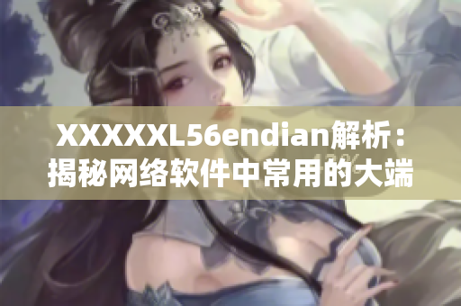 XXXXXL56endian解析：揭秘网络软件中常用的大端小端编码