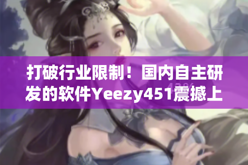 打破行业限制！国内自主研发的软件Yeezy451震撼上市