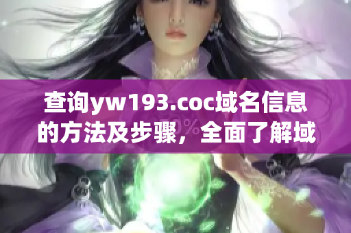 查询yw193.coc域名信息的方法及步骤，全面了解域名解析的流程