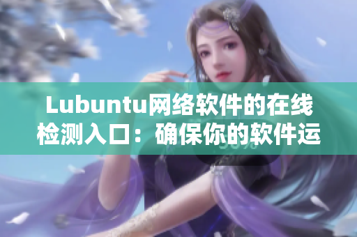 Lubuntu网络软件的在线检测入口：确保你的软件运行稳定