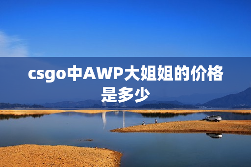 csgo中AWP大姐姐的价格是多少