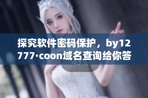 探究软件密码保护，by12777·coon域名查询给你答案