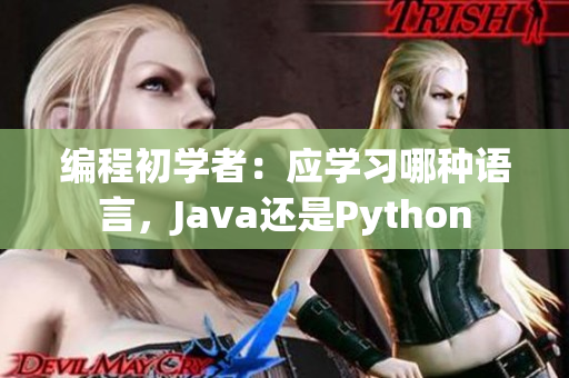 编程初学者：应学习哪种语言，Java还是Python