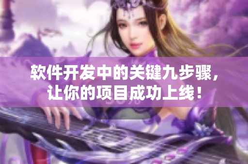 软件开发中的关键九步骤，让你的项目成功上线！