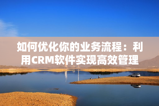 如何优化你的业务流程：利用CRM软件实现高效管理