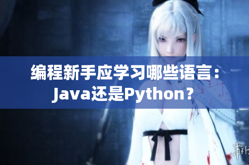 编程新手应学习哪些语言：Java还是Python？