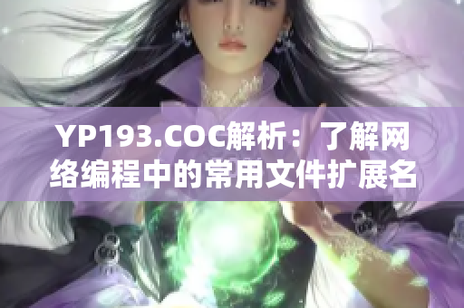 YP193.COC解析：了解网络编程中的常用文件扩展名